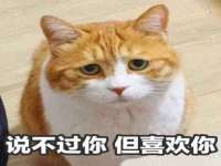 上海而萨而网络科技有限公司