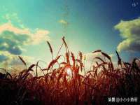 上海而萨而网络科技有限公司