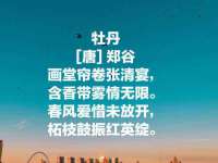 上海而萨而网络科技有限公司