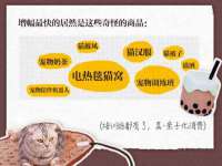 上海而萨而网络科技有限公司