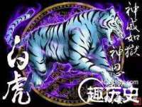 上海而萨而网络科技有限公司