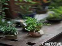 上海而萨而网络科技有限公司