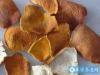 上海而萨而网络科技有限公司